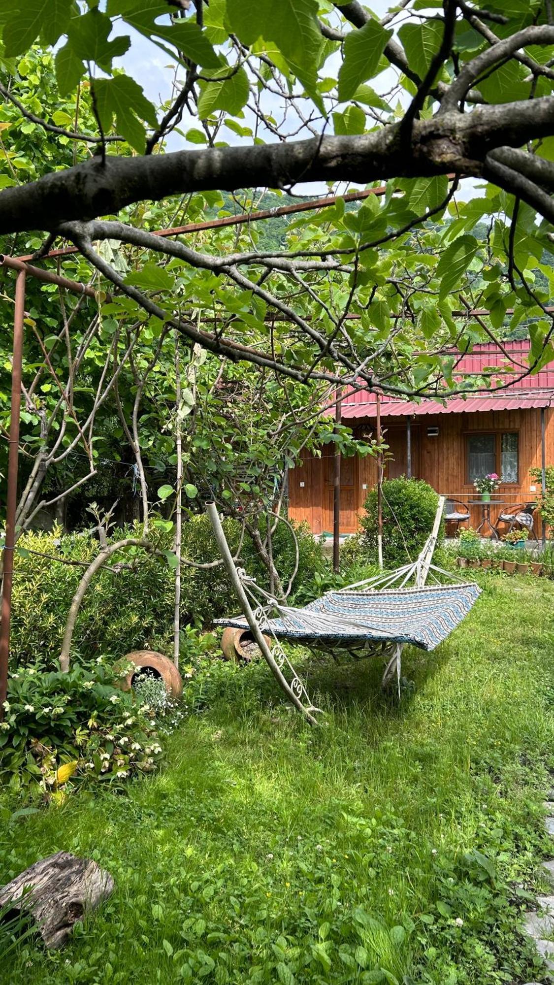 Ludwig Guesthouse Lagodekhi Eksteriør billede