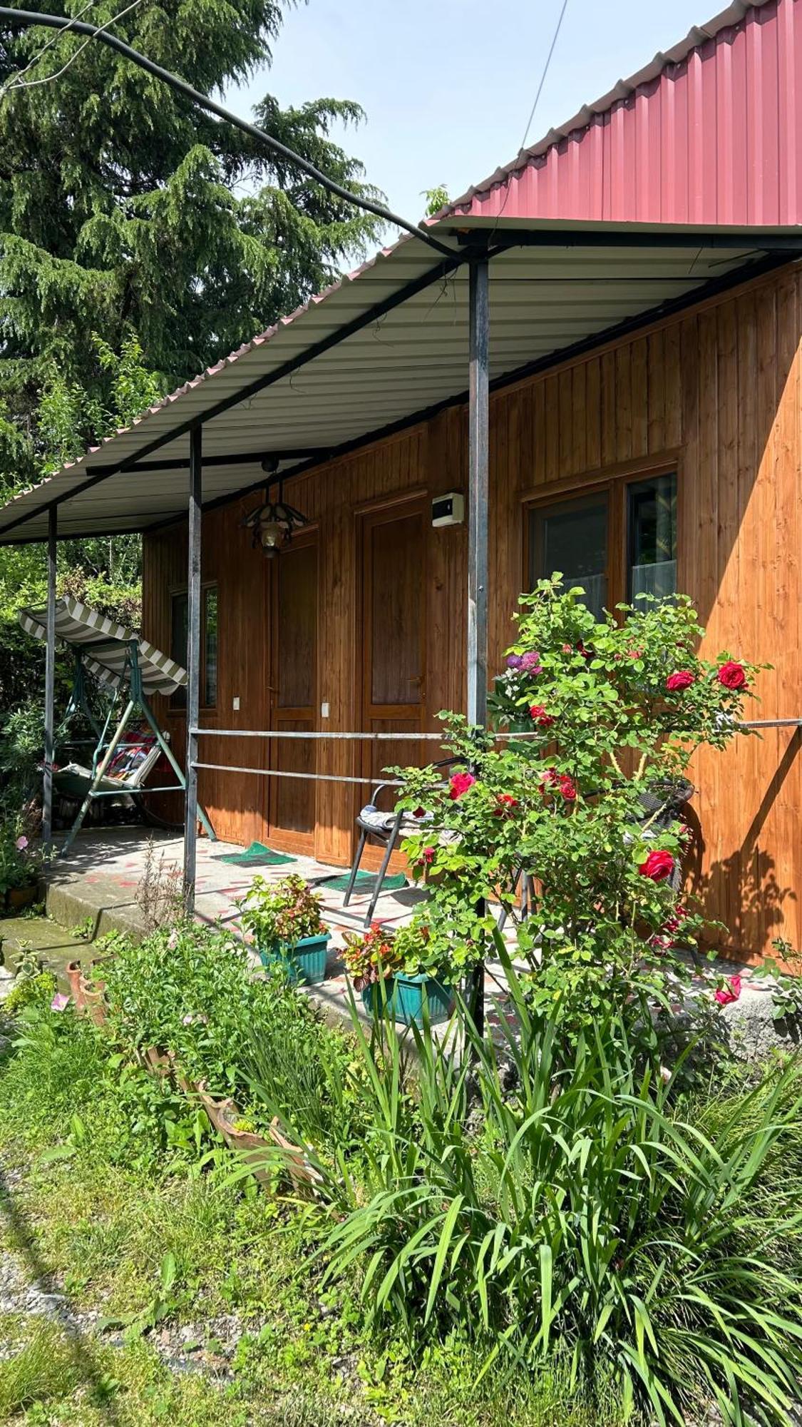Ludwig Guesthouse Lagodekhi Eksteriør billede