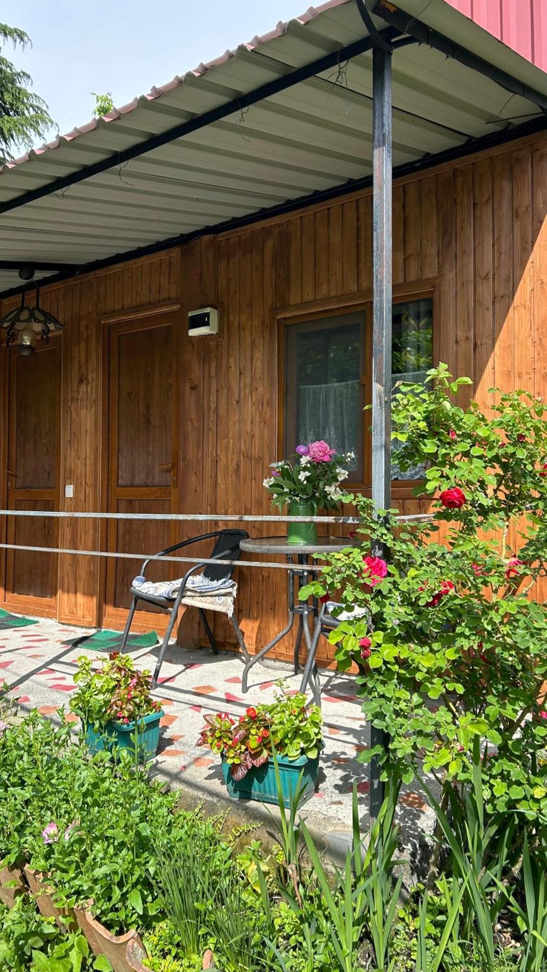 Ludwig Guesthouse Lagodekhi Eksteriør billede