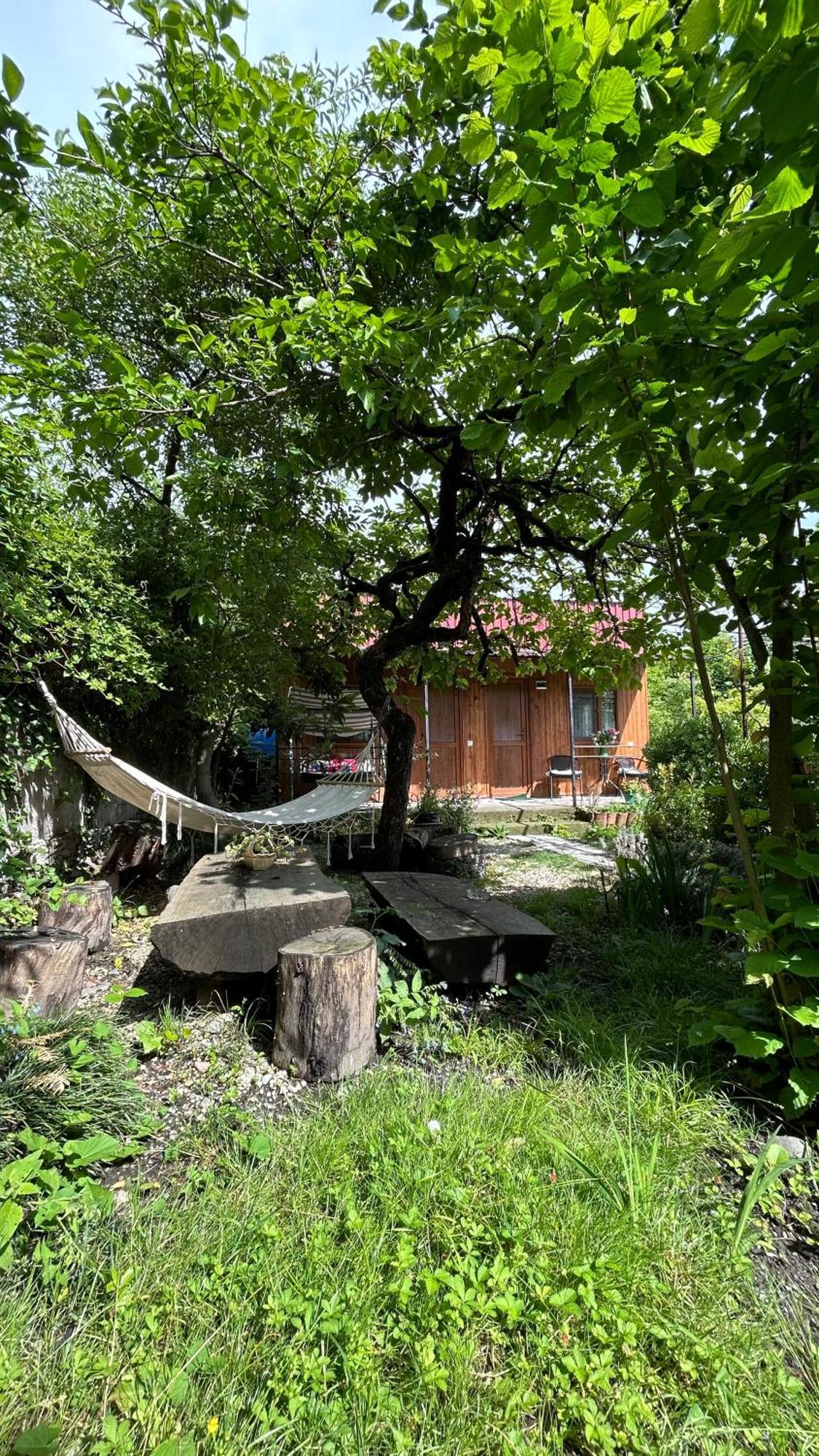 Ludwig Guesthouse Lagodekhi Eksteriør billede
