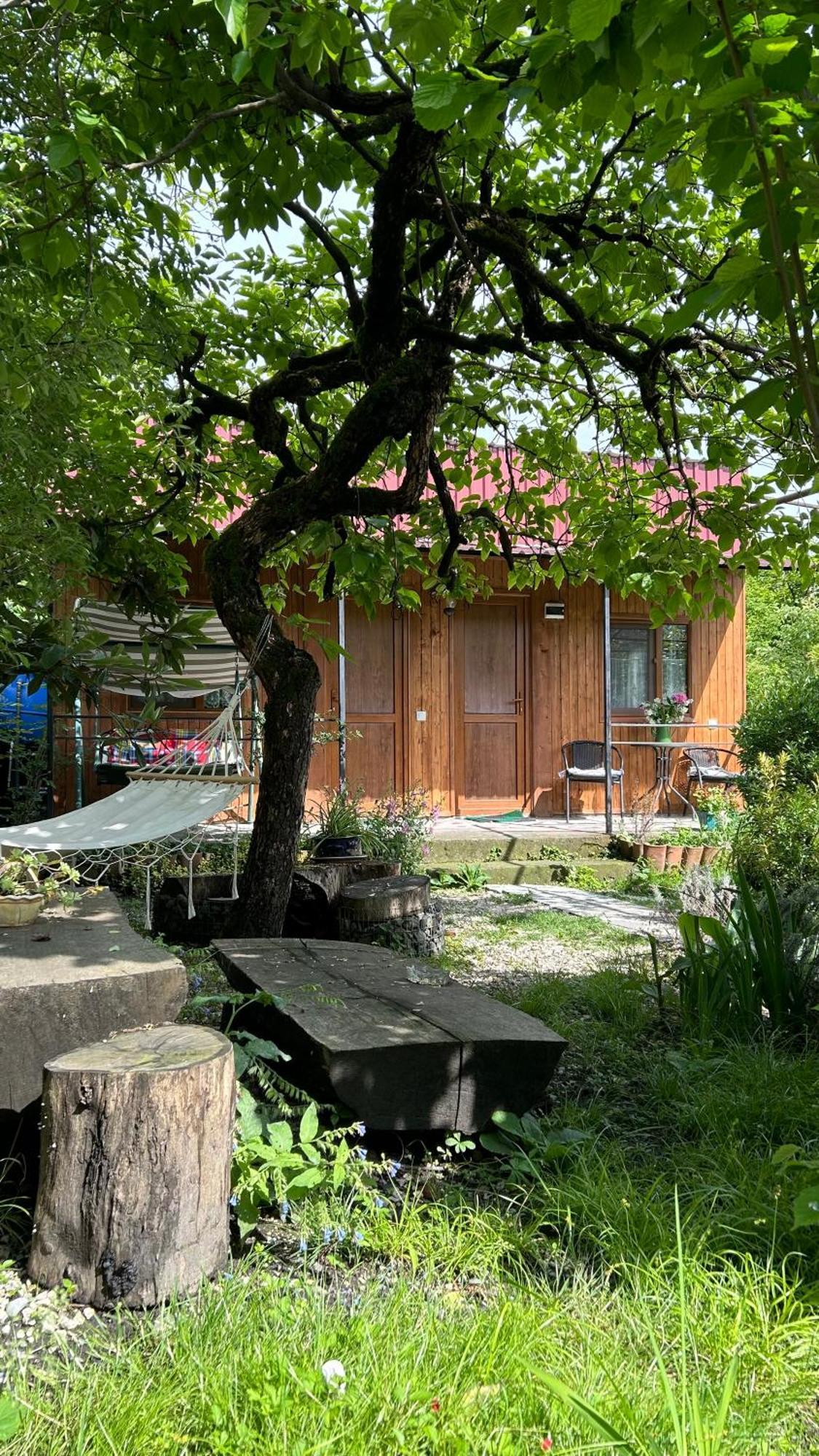 Ludwig Guesthouse Lagodekhi Eksteriør billede