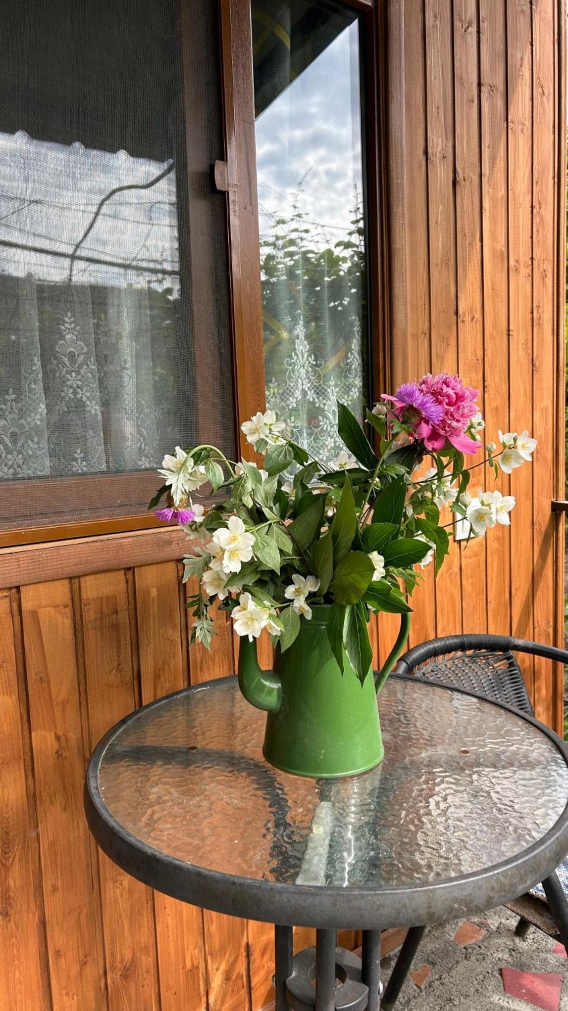 Ludwig Guesthouse Lagodekhi Eksteriør billede